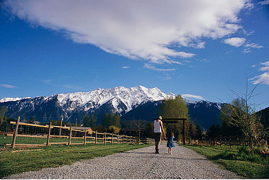 将界2丁思聪和雷蕾酒店合作过吗｜娱乐圈风云：揭秘丁思聪与雷蕾酒店合作传闻-3