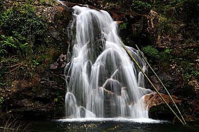 黑料不打 zzzttt｜抵制网络暴力，守护和谐家园-3