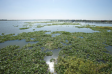 dd4破解免费版｜破解软件热潮引发法律道德双重争议-1