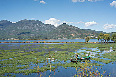 电车痴汉游戏｜隐秘角落中的电车游戏与女性安全危机