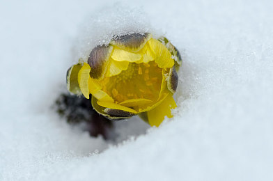 学生BBwBBwBBwBBw｜校园文化盛宴，创新实践育英才-1