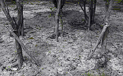 欧美 级毛片一进一出｜影视剪辑艺术：揭秘“欧美级毛片一进一出”视觉奇观-1