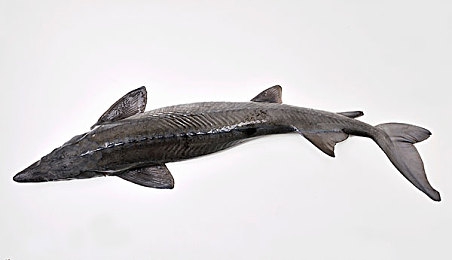 给大家科普一下男生女生一起轮滑板2023｜轮滑情缘，共筑青春快乐时光-3