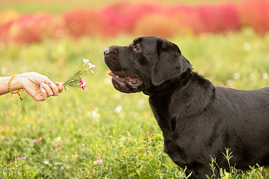 性别自由凸轮和凸轮图片｜打破性别界限，探索自由彩虹之旅-3