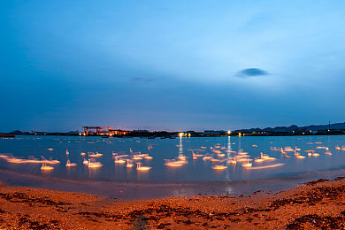 欧美性护士｜揭开欧美护理之谜，专业守护与心灵慰藉的美丽使者-3