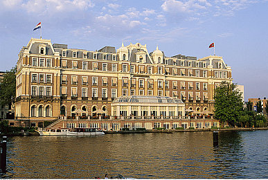 英语老师的兔子｜校园兔伴：温馨教学，情感共鸣之旅