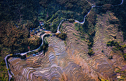 女人与公牛发生性行为后如何解决｜荒野求生：禁忌之恋，求生挑战新境界-3