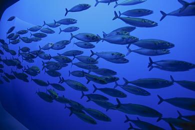 课代表趴下｜“趣味互动课堂，课代表趴下助力轻松学习新篇章”-3