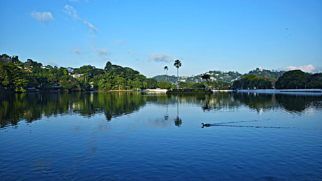 18岁禁止应用｜守护青春，远离诱惑：净化网络，健康成长之旅-1