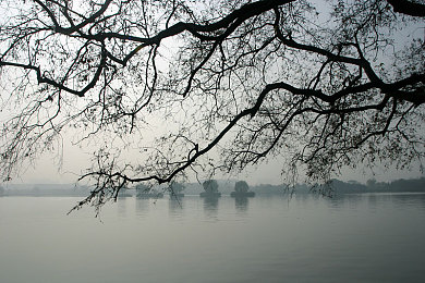 美秀直播|直播星光熠熠,美秀魅力无限-4