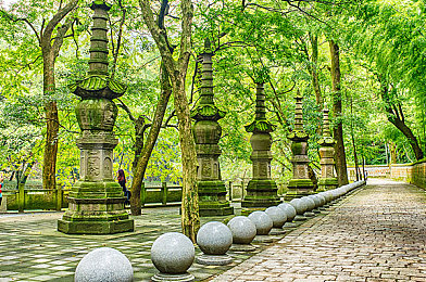 糖果直播｜糖果直播：创新互动，引领直播新潮流-2