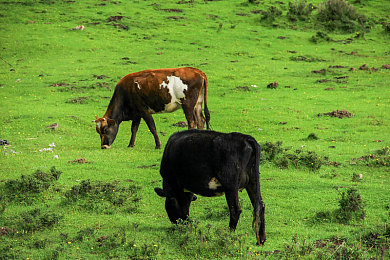 51cgfun朝阳热心群众最新地址｜朝阳社区服务升级，51cgfun热心群众新址助力共建和谐家园