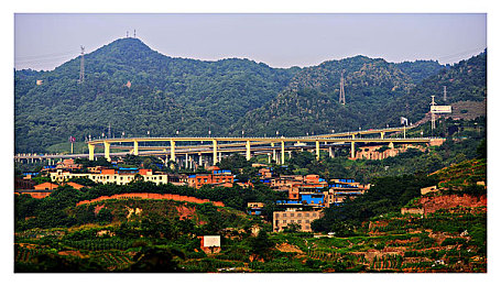 小孩和妈妈摘萝卜｜亲子欢乐农场：萝卜采摘快乐时光-5