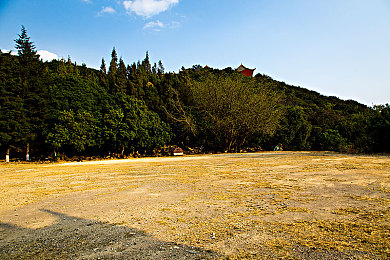 黄色软件3.3｜揭秘“黄色软件3.3”：守护网络安全，共筑清朗网络空间-1