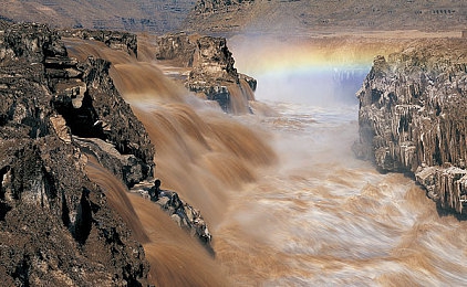 51onlyfans|数字交互平台崛起,机遇与挑战并存-3