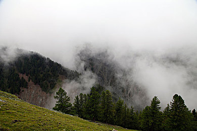 快猫记录｜快猫记录：捕捉生活精彩瞬间，见证时代变迁，共享快乐时光-2