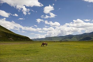 绿巨人黄品汇电商销售策略｜“绿巨人黄品汇电商创新销售策略，引领绿色购物新潮流”-3