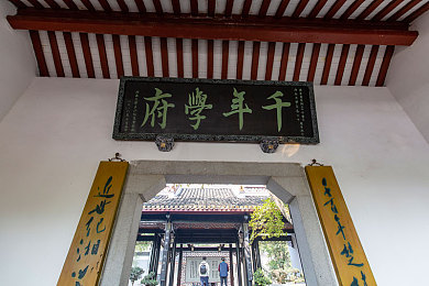 牛奶酒精冰块|夏日新宠,牛奶酒精冰块:创新饮品引健康热议-1