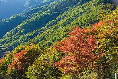 打扑克两个人剧烈运动｜“扑克竞技新风尚：运动智力双丰收，趣味挑战引爆网络热潮”-2