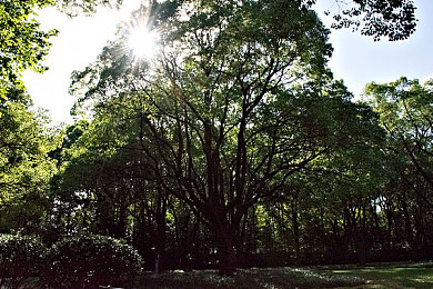 TIKTOK色板2.4.1｜色彩魔法：解锁TIKTOK短视频视觉盛宴的秘密-2