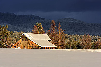 樱花直播app安装|樱花直播APP正式上线,轻松安装体验全新互动直播乐趣-2