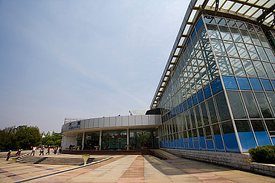 重考生26话丹雅的使用说明｜重考生丹雅攻略：远程箭矢专家，战斗技巧全解析-3