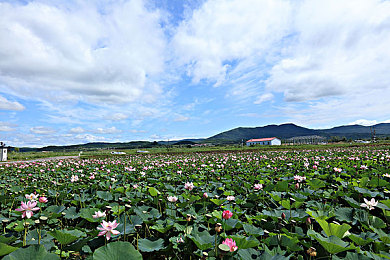 xax manta uzun haya的来源|探寻东方传奇词语“Xax Manta Uzun Haya”:揭秘神秘起源与航海家信仰-3