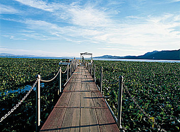 猛男GayGay 免费网站｜猛男社区，LGBTQ+的温馨家园-2