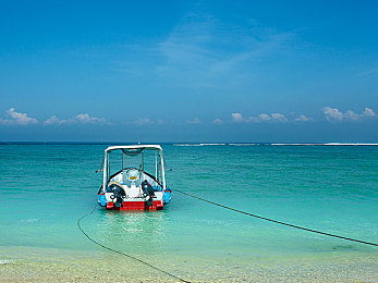 男 男 Gay的网站｜网恋秘境：同性恋社交世界的奥秘探索-2