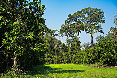 黄色软件app下载3.0.3免费装妆2025|美妆达人必备,"黄色软件APP"焕新妆容之旅-4