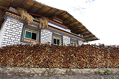 黑料吃瓜总站｜网络“黑料”现象揭秘：探究“黑料吃瓜总站”背后的心理动机与理性应对-1