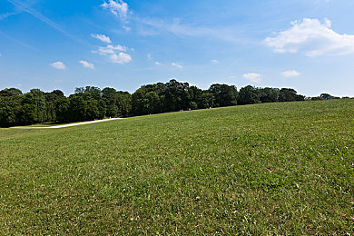 lovense是什么直播软件|直播新势力: Lovense软件引领行业创新,打造互动新体验-4