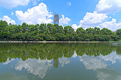 黄软件网站下载3.0.3免费下载安装｜揭开黄3.0.3新篇章，畅享便捷软件之旅-1