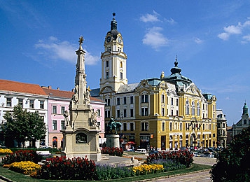毛茸茸的大泬特写｜“西南秘境邂逅神秘毛茸大泬，生态保护呼唤共同守护”-2