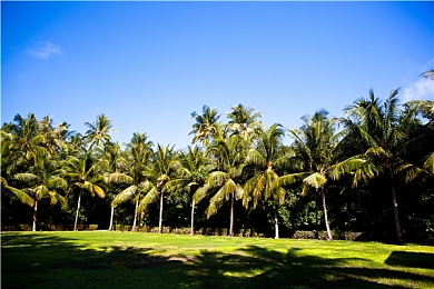 ＼tiktok国际版色板黄＂｜视觉盛宴，TikTok“色板黄”革新短视频美学