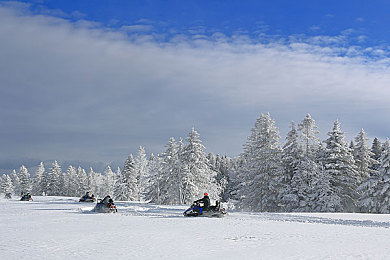 黄色软件app下载3.0.3免费装扮2023｜“新装亮相，畅享装扮，黄色软件app 3.0.3版本惊艳来袭”-1