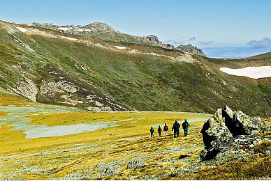 男同网｜网络家园新篇：同性恋社群的温馨图谱-2