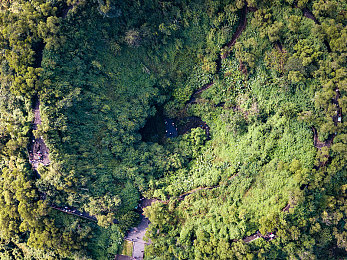 S调M的100句经典语句｜穿越时空的旋律：S调M经典语句传情之旅-2