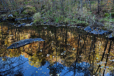 云缨巡街漫画免费入口|畅游免费漫画海洋,尽享云缨巡街奇幻之旅-2