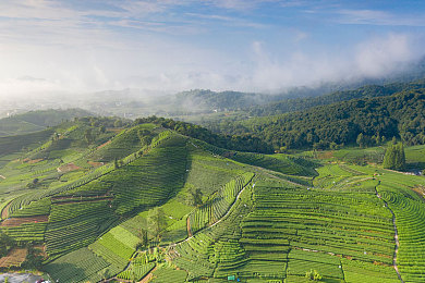 老赵抱着月月在厨房做欧美｜温馨厨房，美味传承，幸福烹饪时光-4