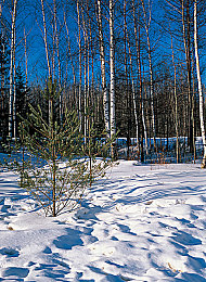 农村女娃嫩苞初尝｜追梦农村少女：逐梦求学的坚韧之路-2