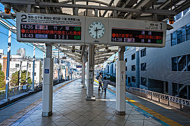 美女脱光光软件|揭秘“美女脱光光”软件:走红背后的故事与安全使用指南-3