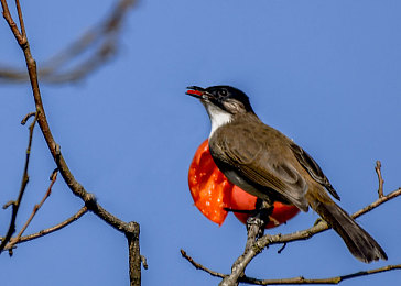 丹麦4个女儿在芬兰的背景故事|跨国女儿在芬兰:丹麦与芬兰文化交流的温馨故事-3