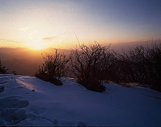 美国空姐满天星叫什么名字｜空中天使变身，社交媒体织就满天星璀璨传奇-3