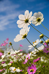 揉我胸 啊 嗯～出水了H｜情感互动之旅：探寻“揉我胸 啊 嗯～出水了H”的温馨瞬间-2