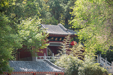 意大利水蜜桃｜意桃飘香，甜蜜跨越国界之旅-3