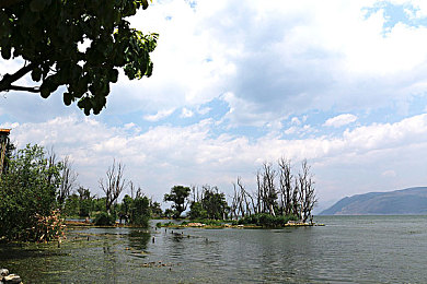 国产吃瓜黑料泄密曝光｜隐私泄露风波：娱乐行业数据安全漏洞亟待修复-2