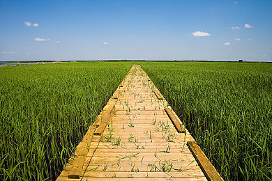 白袜体育生自慰｜白袜体育生独特放松法：自慰减压，自信提升，团队友谊新风尚-1