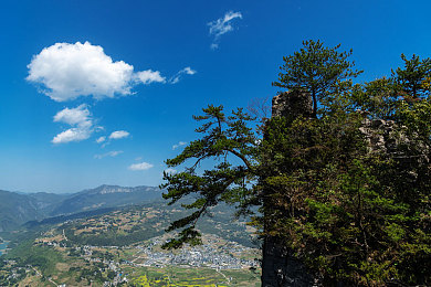 黄台APP｜黄台APP创新引领便捷生活潮流，社会热点事件中显担当-1