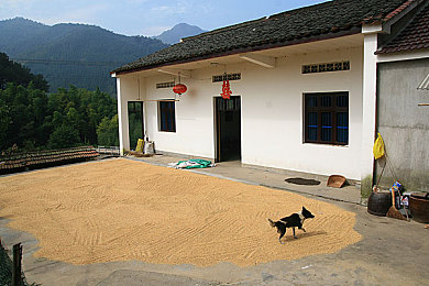 动画 妓女 享受 巨大｜巨影妓影：动画艺术中的颠覆与享受之旅-3